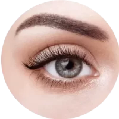 11-1-e1686214408208 11-1-e1686214408208